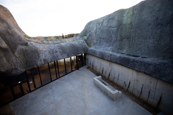 84702791_130067048494256_7819936338391597056_n